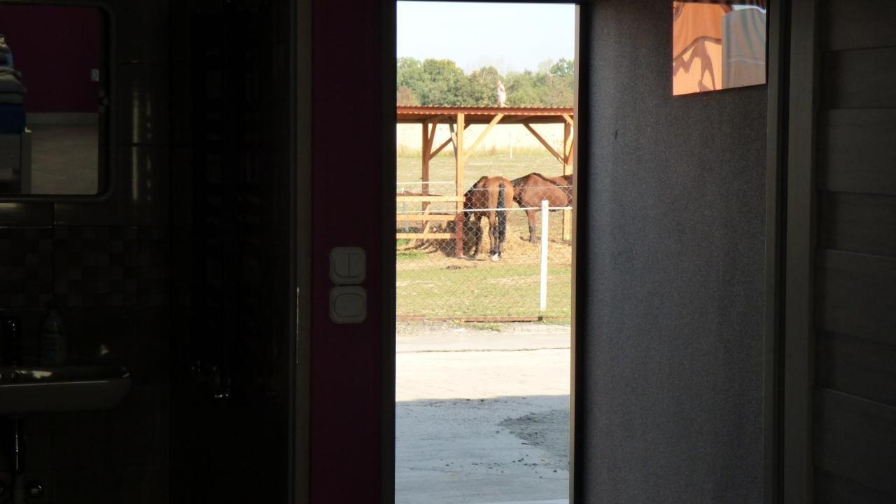Agroturystyka Klekusiowo Boleslawiec  Eksteriør billede
